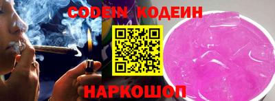 крисы Можга