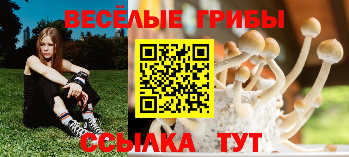 Хасавюрт  Галлюциногенные грибы мухоморы  Вход с VPN 